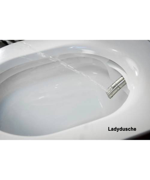 BERNSTEIN - douchetoilet Basic 1102 med sanitetsmodul 805, sort, sæt
